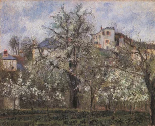 Vegetable Garden and Flowering Trees, Spring, Pontoise